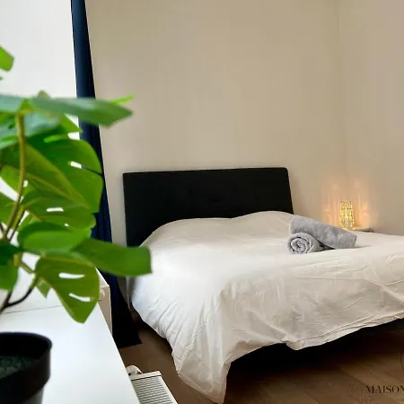 Le Botanique Des Augustins -100m2 En Plein Centre