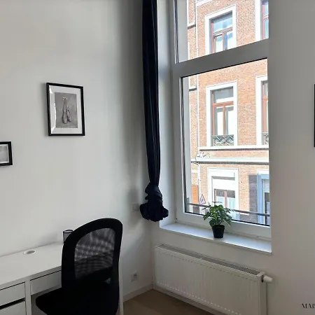 Le Botanique Des Augustins -100m2 En Plein Centre アパート *