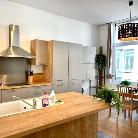 Le Botanique Des Augustins -100m2 En Plein Centre 公寓 列日