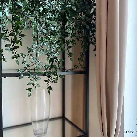 Le Botanique Des Augustins -100m2 En Plein Centre 公寓 *